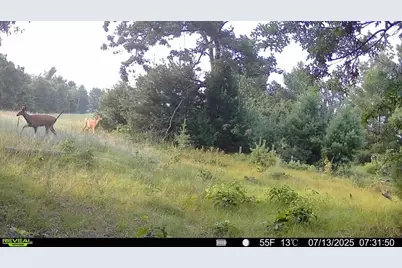 33486 Driftwood Avenue #C, Warrens,warrens, WI 54666 - Photo 65