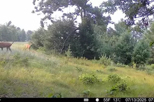 33486 Driftwood Ave, Warrens,warrens, WI 54666 - Photo 65