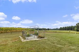 N7117 (50 Acres) Black Creek Rd, Princeton, WI 54968 - Photo 9