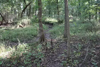 10.54 Acres County Road D, Fall River, WI 53932 - Photo 9