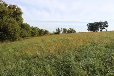 10.54 Acres County Road D, Fall River, WI 53932 - Photo 3