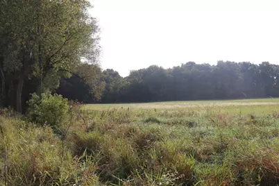 10.54 Acres County Road D, Fall River, WI 53932 - Photo 7