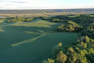 33759 Cottontail Ln, Wauzeka, WI 53826 - Photo 5