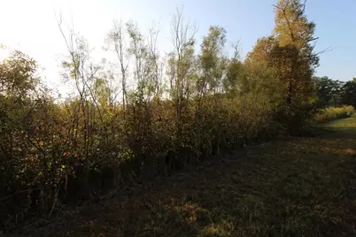 14.89 Ac 7th Drive, Montello, WI 53949 - Photo 7