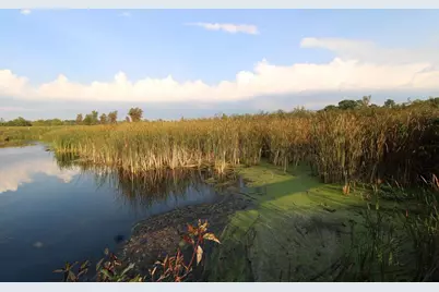 14.89 Ac 7th Drive, Montello, WI 53949 - Photo 1