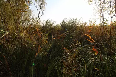 14.89 Ac 7th Drive, Montello, WI 53949 - Photo 9