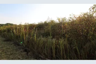 14.89 Ac 7th Drive, Montello, WI 53949 - Photo 11