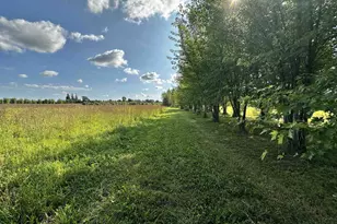 N5449 County M Rd, Brandon, WI 53919 - Photo 21