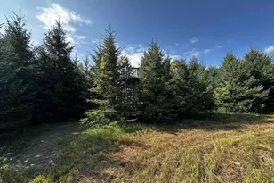 N5449 County M Rd, Brandon, WI 53919 - Photo 37