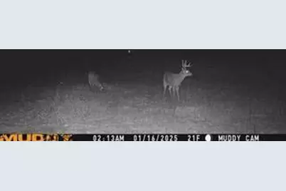 N5449 County M Road, Brandon, WI 53919 - Photo 57