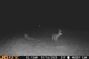 N5449 County M Rd, Brandon, WI 53919 - Photo 57