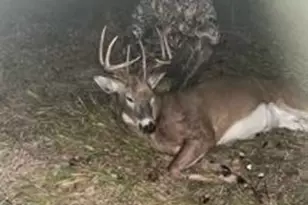 N5449 County M Rd, Brandon, WI 53919 - Photo 65