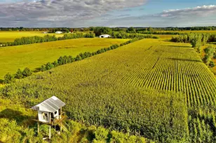 N5449 County M Rd, Brandon, WI 53919 - Photo 11