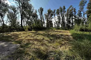 N5449 County M Rd, Brandon, WI 53919 - Photo 41