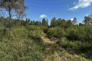 N5449 County M Rd, Brandon, WI 53919 - Photo 27