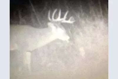 N5449 County M Road, Brandon, WI 53919 - Photo 55