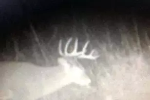 N5449 County M Rd, Brandon, WI 53919 - Photo 55