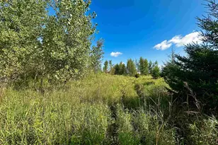 N5449 County M Rd, Brandon, WI 53919 - Photo 35