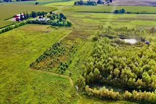 N5449 County M Rd, Brandon, WI 53919 - Photo 3