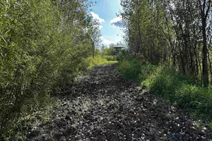 N5449 County M Rd, Brandon, WI 53919 - Photo 25