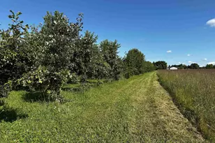 N5449 County M Rd, Brandon, WI 53919 - Photo 45