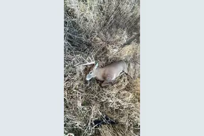 N5449 County M Road, Brandon, WI 53919 - Photo 63