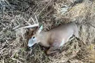 N5449 County M Rd, Brandon, WI 53919 - Photo 63