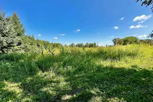 N5449 County M Rd, Brandon, WI 53919 - Photo 49