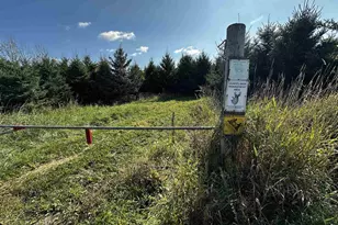 N5449 County M Rd, Brandon, WI 53919 - Photo 47