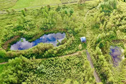 N5449 County M Road, Brandon, WI 53919 - Photo 5