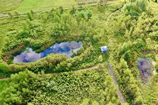 N5449 County M Rd, Brandon, WI 53919 - Photo 5