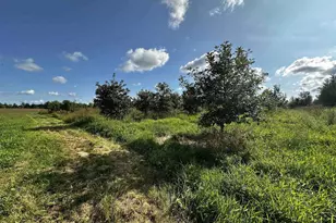 N5449 County M Rd, Brandon, WI 53919 - Photo 23