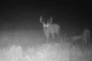 N5449 County M Rd, Brandon, WI 53919 - Photo 53