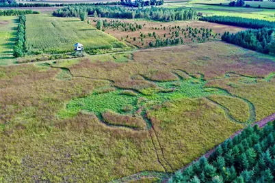 N5449 County M Road, Brandon, WI 53919 - Photo 9