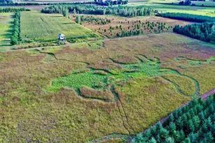 N5449 County M Rd, Brandon, WI 53919 - Photo 9