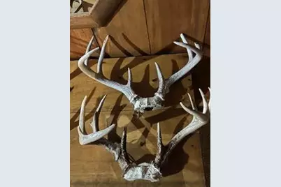 N5449 County M Road, Brandon, WI 53919 - Photo 61