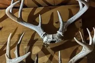 N5449 County M Rd, Brandon, WI 53919 - Photo 61