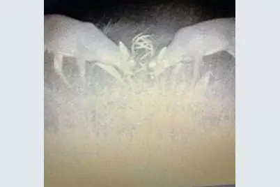 N5449 County M Road, Brandon, WI 53919 - Photo 59