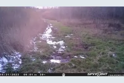 N5449 County M Road, Brandon, WI 53919 - Photo 67