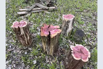 W2186 Eric Road, Markesan, WI 53946 - Photo 21