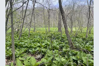 W2186 Eric Road, Markesan, WI 53946 - Photo 19