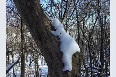 W2186 Eric Road, Markesan, WI 53946 - Photo 25