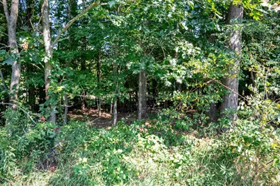 Lot 24 Cemetery Road, Mauston, WI 53948 - Photo 15
