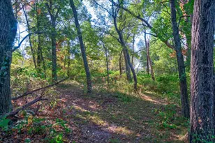 7857 Schaller Rd, Verona, WI 53593 - Photo 69