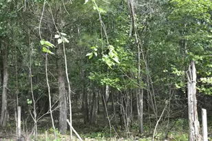 12632 Co Hwy PP, Tomah, WI 54660 - Photo 17