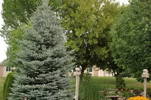 730 Kensington Dr, Ripon, WI 54971 - Photo 7