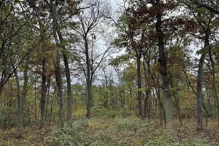 3428 Bluto Blvd, Mount Horeb, WI 53572 - Photo 71