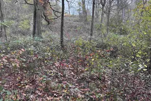 3428 Bluto Blvd, Mount Horeb, WI 53572 - Photo 69