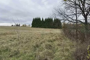 3428 Bluto Blvd, Mount Horeb, WI 53572 - Photo 59