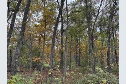 3428 Bluto Boulevard, Mount Horeb, WI 53572 - Photo 75